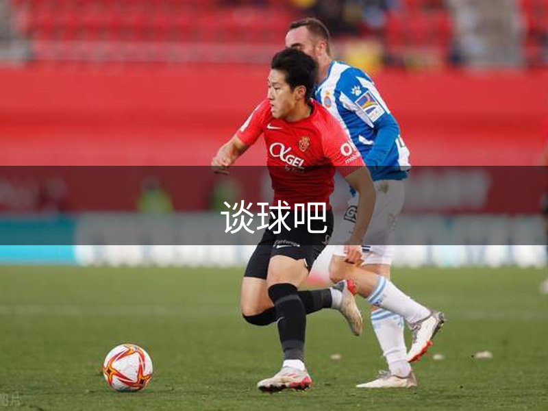 网站概况